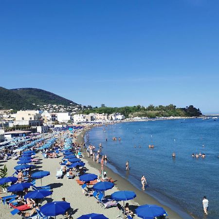 Monolocale Ischia Isola Verde Eksteriør bilde